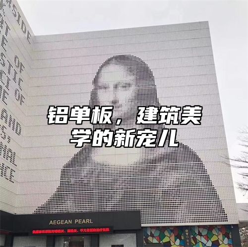 铝单板，建筑美学的新宠儿