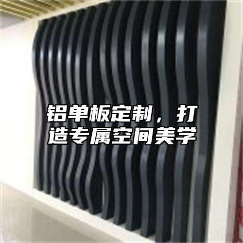 铝单板定制，打造专属空间美学