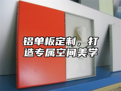 铝单板定制，打造专属空间美学