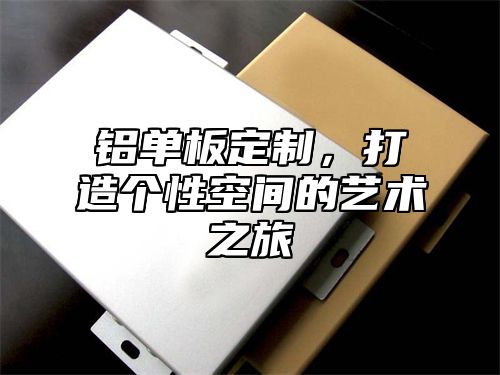 铝单板定制，打造个性空间的艺术之旅