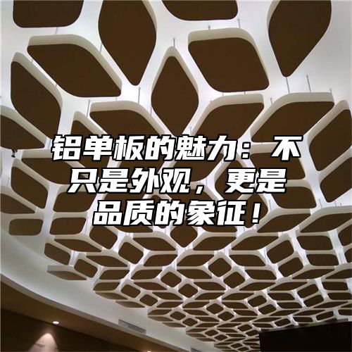 铝单板的魅力：不只是外观，更是品质的象征！