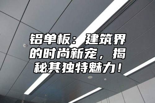 铝单板：建筑界的时尚新宠，揭秘其独特魅力！
