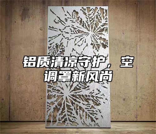 铝质清凉守护，空调罩新风尚