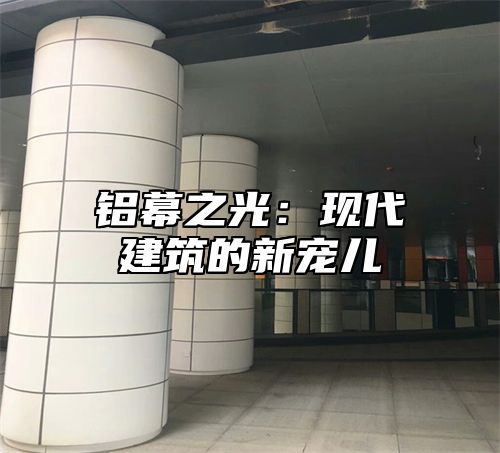 铝幕之光：现代建筑的新宠儿