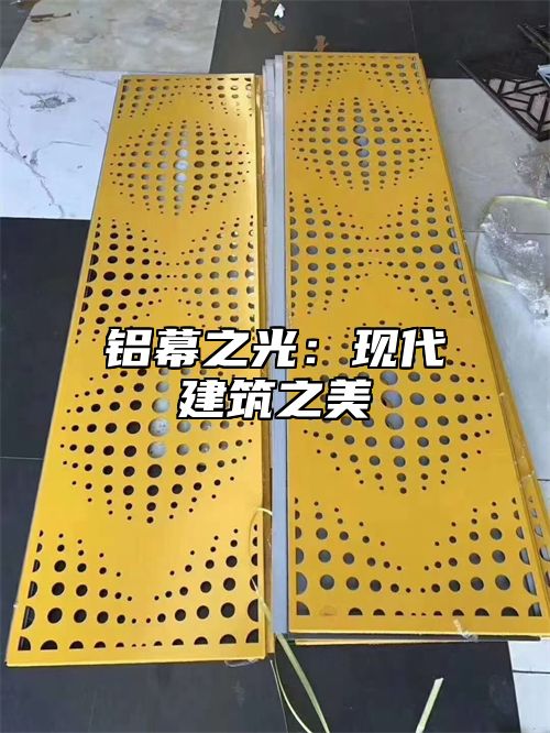 铝幕之光：现代建筑之美
