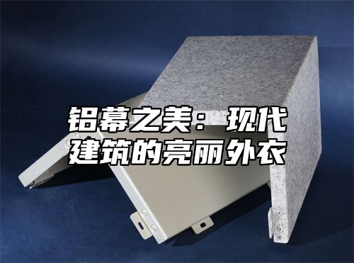 铝幕之美：现代建筑的亮丽外衣