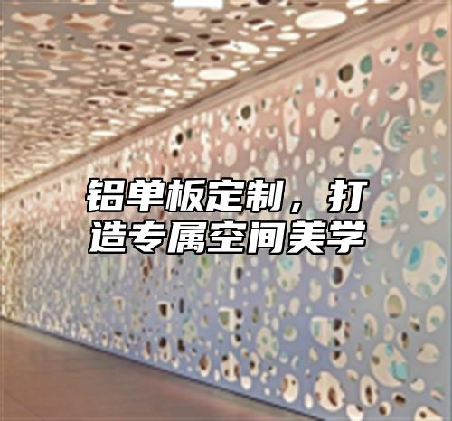铝单板定制，打造专属空间美学