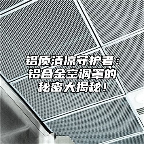 铝质清凉守护者：铝合金空调罩的秘密大揭秘！