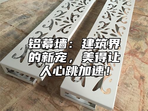 铝幕墙：建筑界的新宠，美得让人心跳加速！