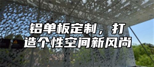 铝单板定制，打造个性空间新风尚