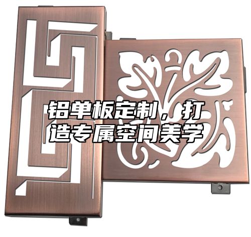 铝单板定制，打造专属空间美学