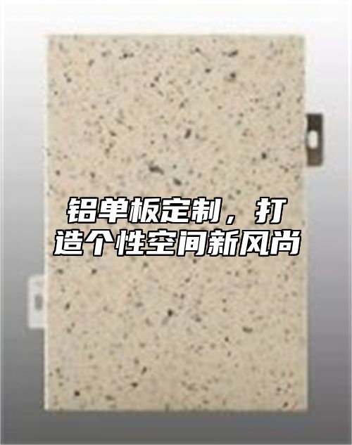 铝单板定制，打造个性空间新风尚