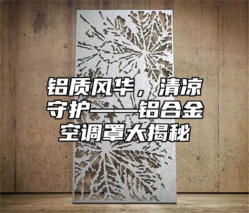 铝质风华，清凉守护——铝合金空调罩大揭秘
